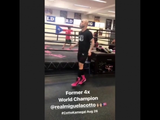 miguel cotto is preparing for his return to the ring.