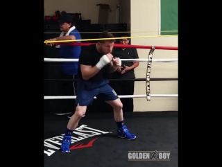 saul alvarez is preparing to fight gennady golovkin.