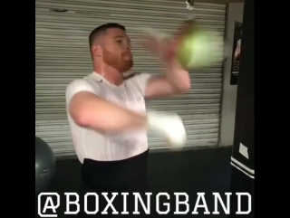 canelo prepares to fight ggg.