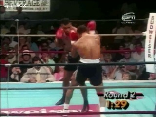 all 44 mike tyson knockouts